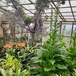 Plant Conservatory