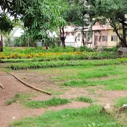 Plants and Nursery