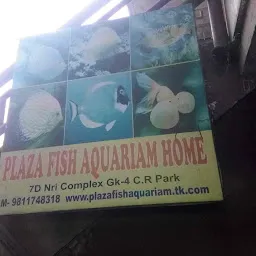 Plaza Fish Aquarium (Best fish Aquarium shop in South delhi)