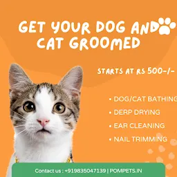 PomPets - Dog Grooming | Cat Grooming | Dog Bathing | Dog Food