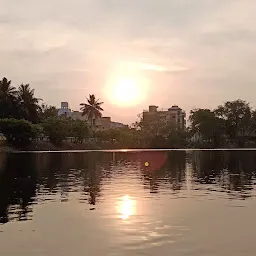 Pond Walking Track