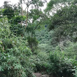 Poochakulam Waterfalls