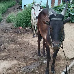 Poonusamy Gounder Farm