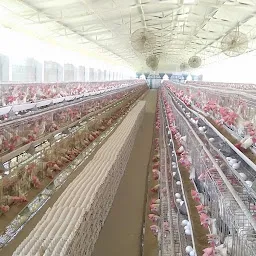 Poultry Farm