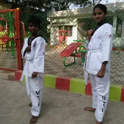 Power of Taekwondo. Nehru Park
