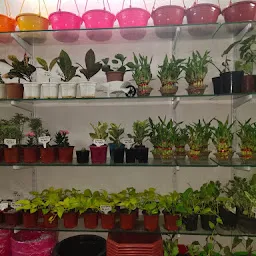 Prabhanjan Horticulture