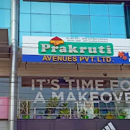 Prakruti Avenues Pvt. Ltd