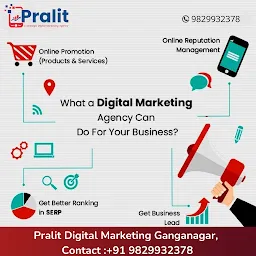 Pralit-Digital Marketing Company