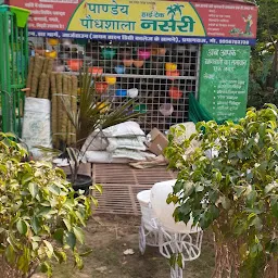 Prayag Nursery