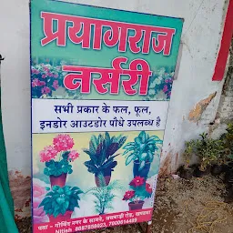 Prayagraj Nursery