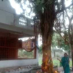 Prem Nagar , Hanuman Mandir