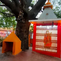 परी माता मंदिर