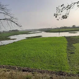 Primary School Varuna Rasalpur