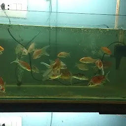 Prince Aquarium