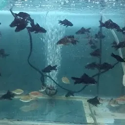 Prince Aquarium
