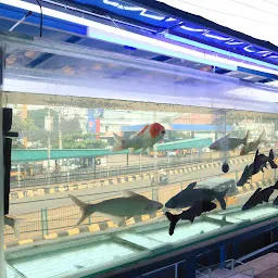 Prince Aquarium and Pets Mart