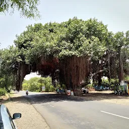 Priyadarashani Dhaba