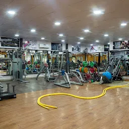 PT Studio GYM I Udaipur Best GYM