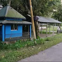 Public Aquarium ( সমৃদ্ধি )