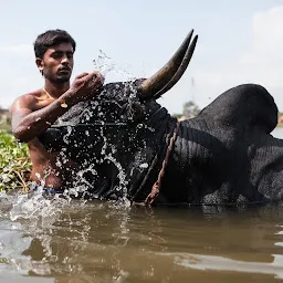 pudhugai organics