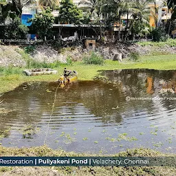Puliyakeni Pond Restored by E.F.I