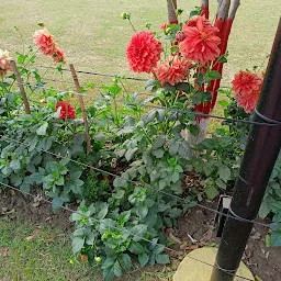 Punaichak Herbal Park