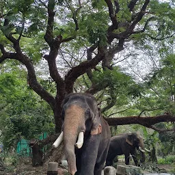 Punnathur (Elephant) Kotta Parking