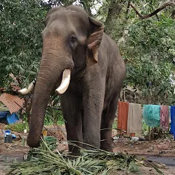 Punnathur (Elephant) Kotta Parking