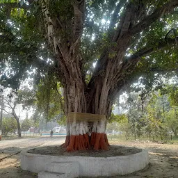 पुराना शिव मंदिर