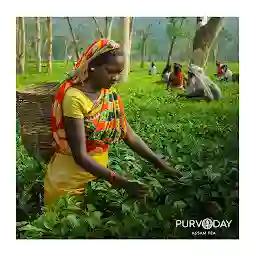 Purvoday Assam Tea