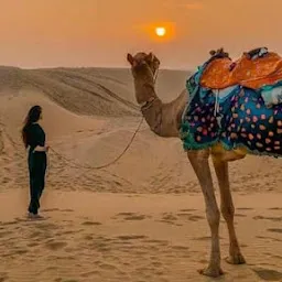 New Desert Safari