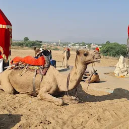 Pushkar Paradise Camel Safari