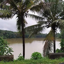 Puthencruz Junction, Aalmaram