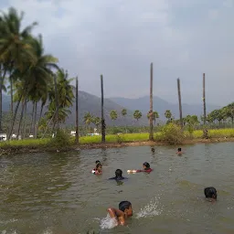 Puthu Eari Check Dam