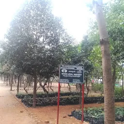 PV Narsimha Rao Park