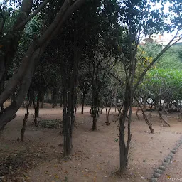 PV Narsimha Rao Park