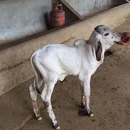 QUALITY DAIRY FARM