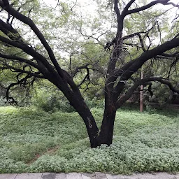 Qutub Shahi Grave Yard