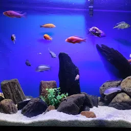 R.K.Aquarium