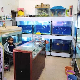 R.K Fish Aquarium