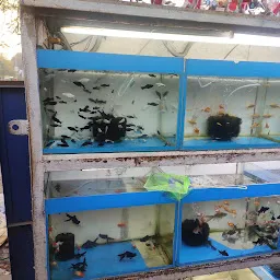 R.world aquarium