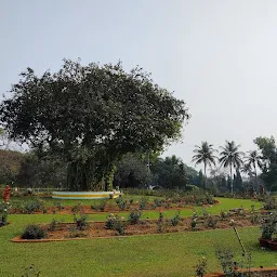 ରାଜ ଭବନ ବଗିଚା, Raj Bhawan Garden