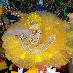 Radhe krishna dress designer