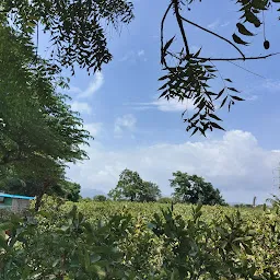 Raghunandan Farm