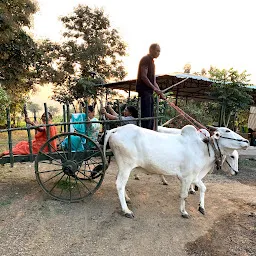 Raigad Agri Tourism Nagpur