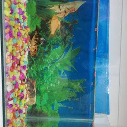 Rainbow Aquarium & Pets