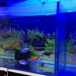 Rainbow Fish Aquarium and Pet Shop