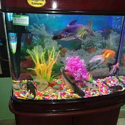 Raipur Fish Aquarium