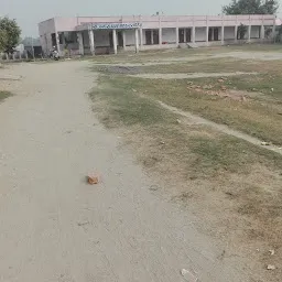 Raj Narayan Singh College