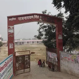 Raj Narayan Singh College